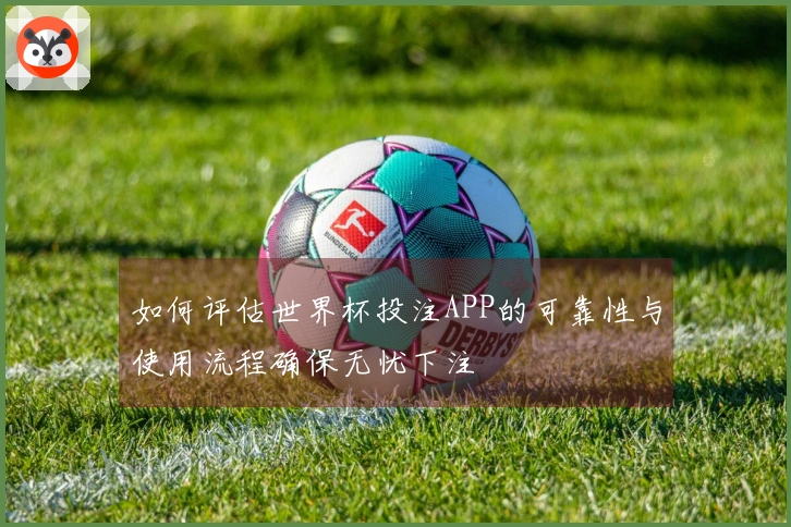 如何评估世界杯投注APP的可靠性与使用流程确保无忧下注