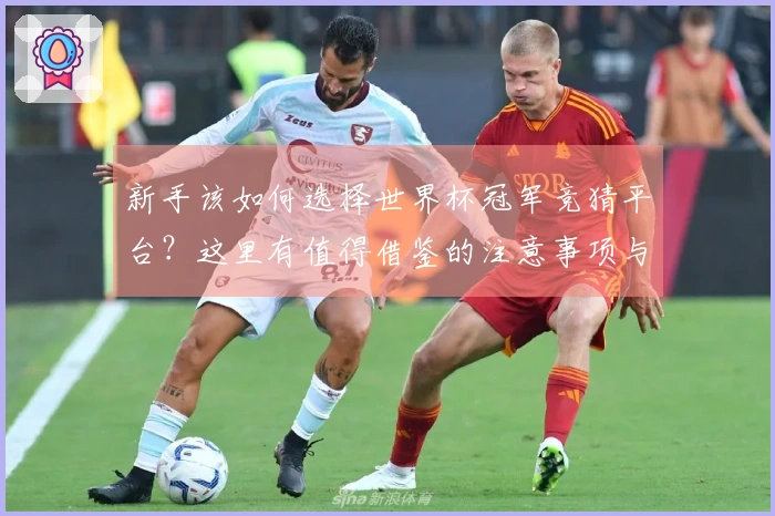 新手该如何选择世界杯冠军竞猜平台？这里有值得借鉴的注意事项与流程解析
