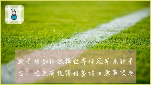 新手该如何选择世界杯冠军竞猜平台？这里有值得借鉴的注意事项与流程解析