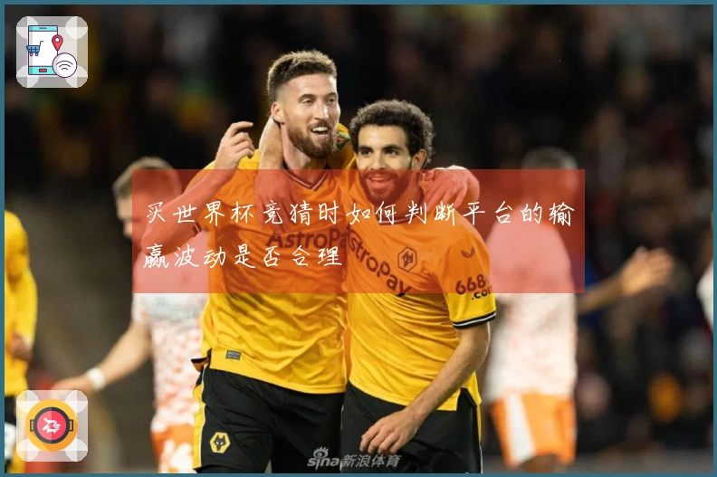 买世界杯竞猜时如何判断平台的输赢波动是否合理